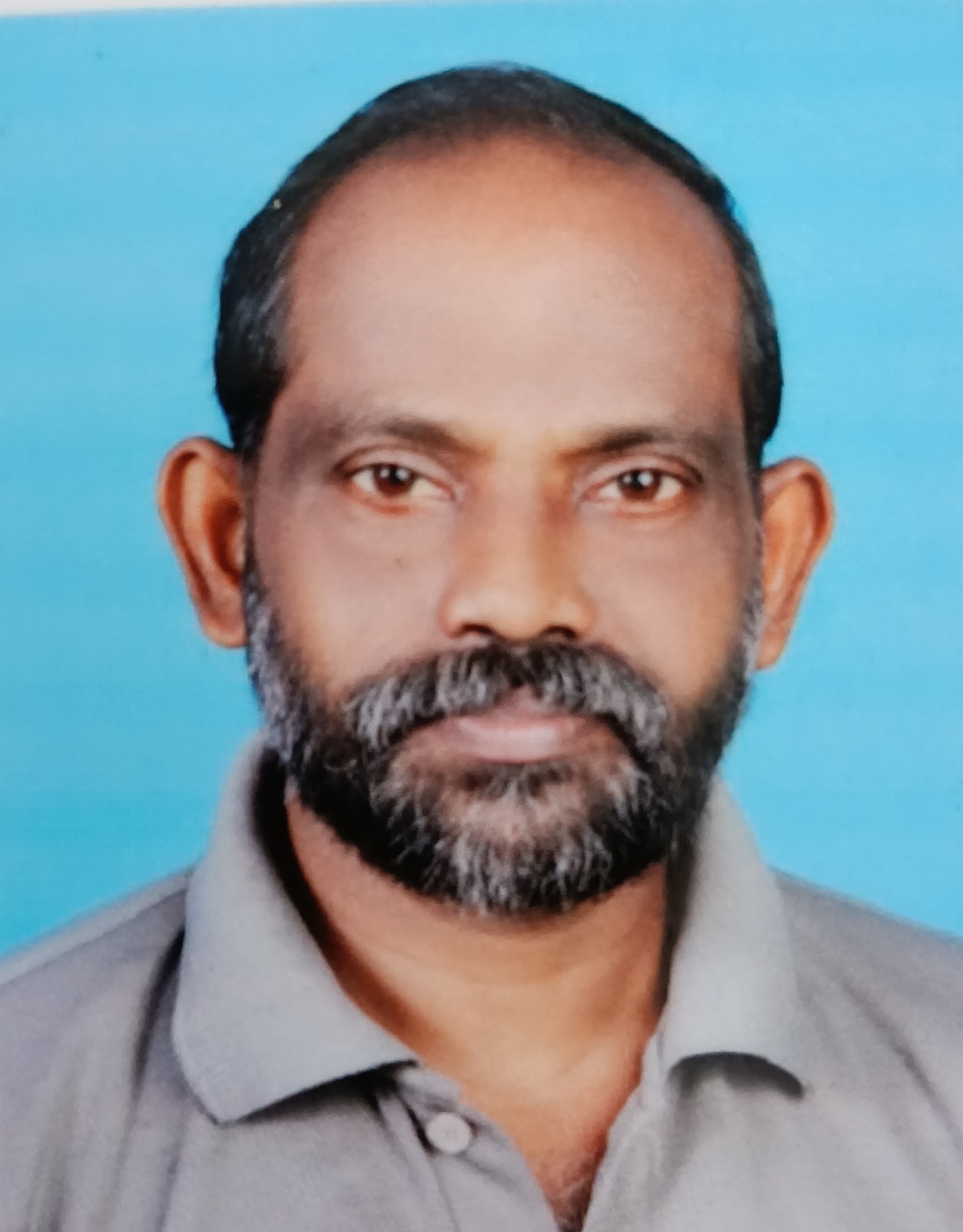 Vinod K K NA
